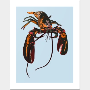 Atlantic Lobster Posters and Art